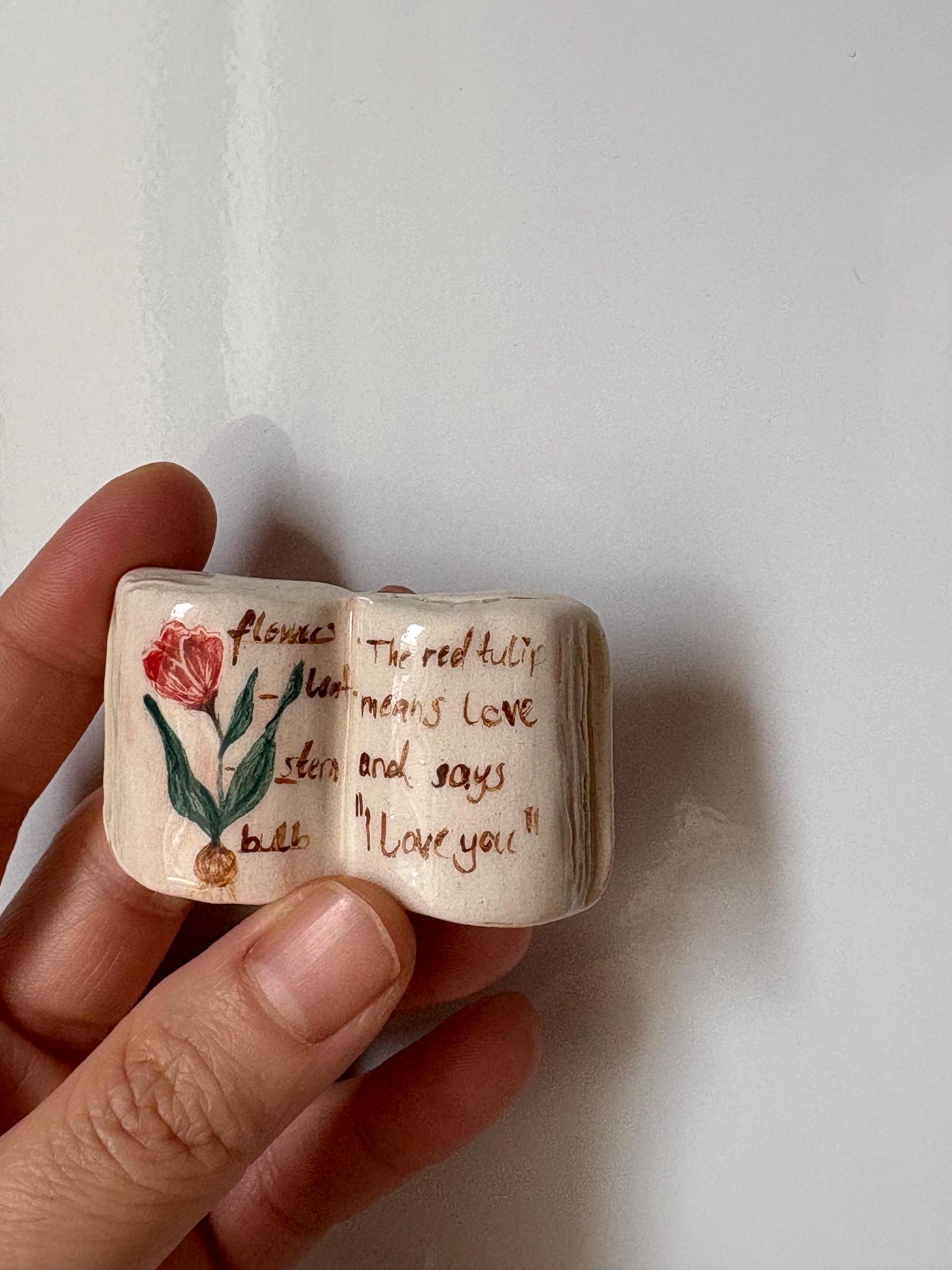 Book-Shaped Fridge Magnet Set