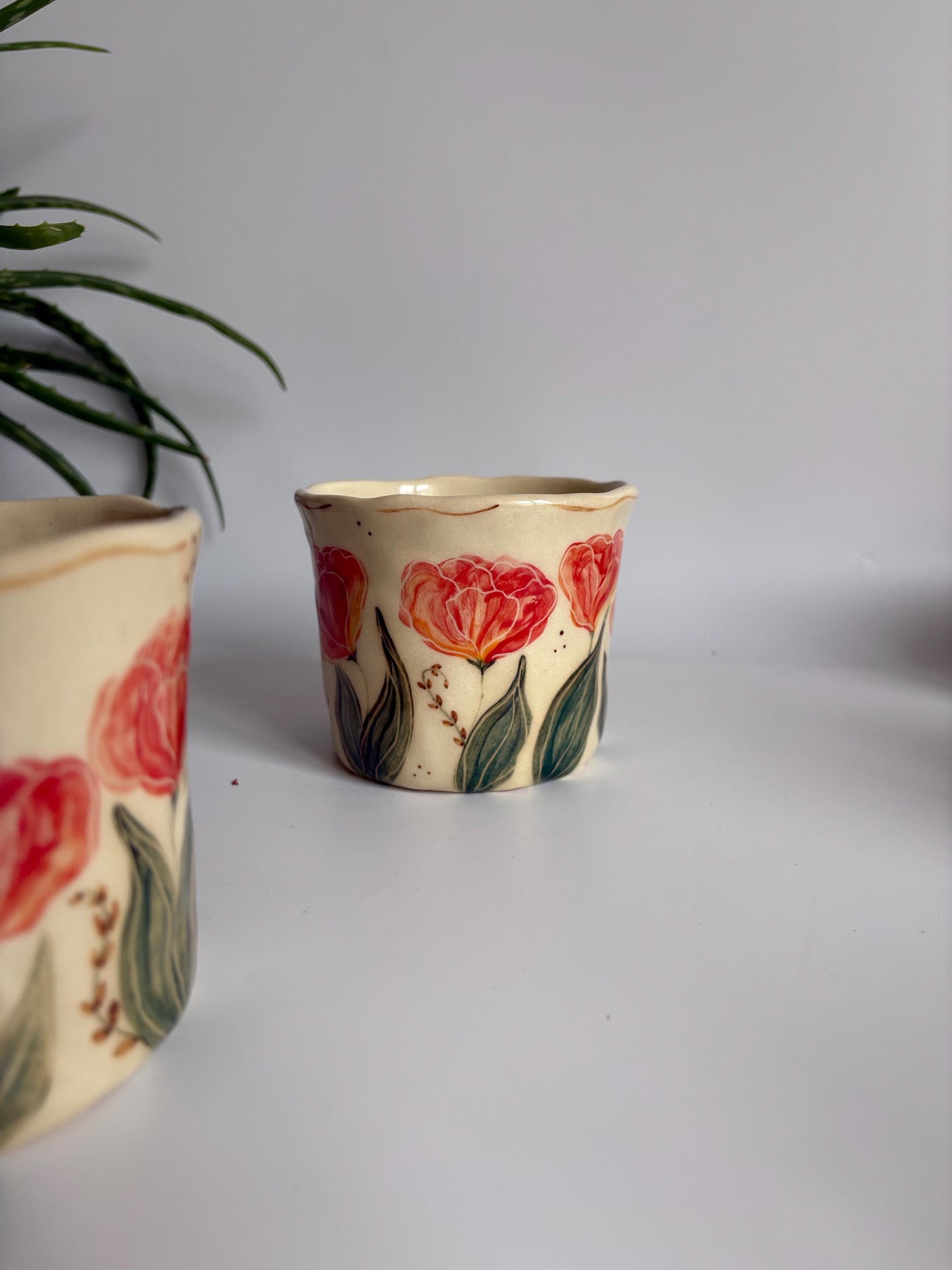 Red Yellow Tulip Cup