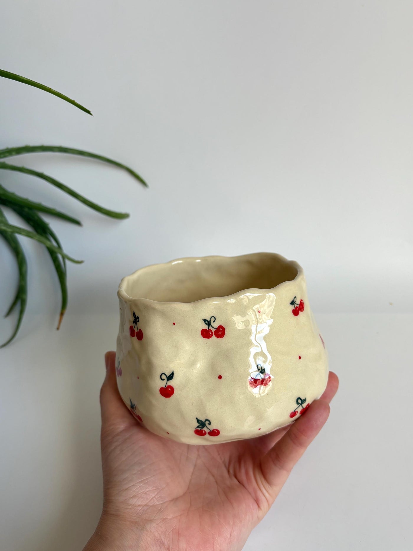 Cute Cherry Bowl