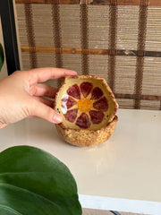 Bloom Trinket Dish