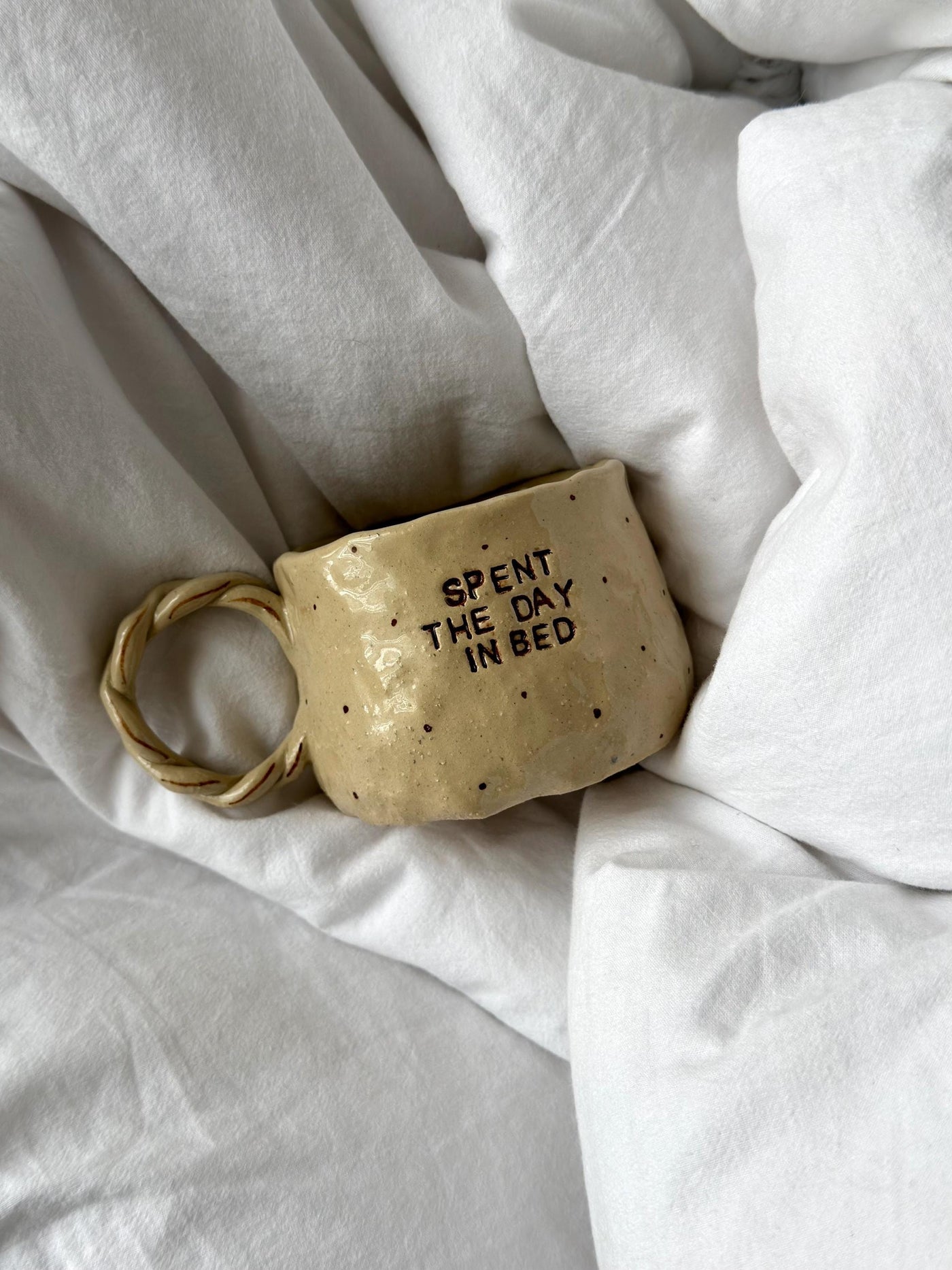 Spent The Day In Bed Mug