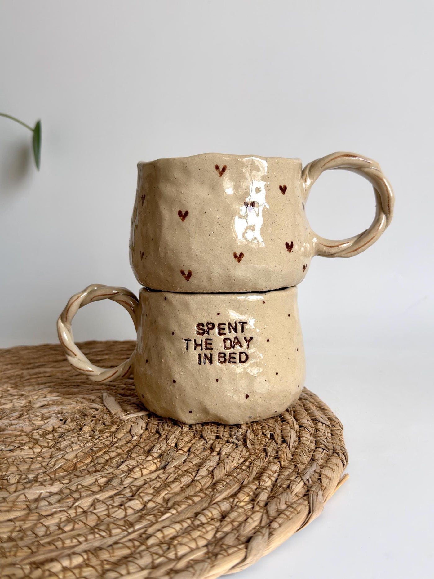 Spent The Day In Bed Mug