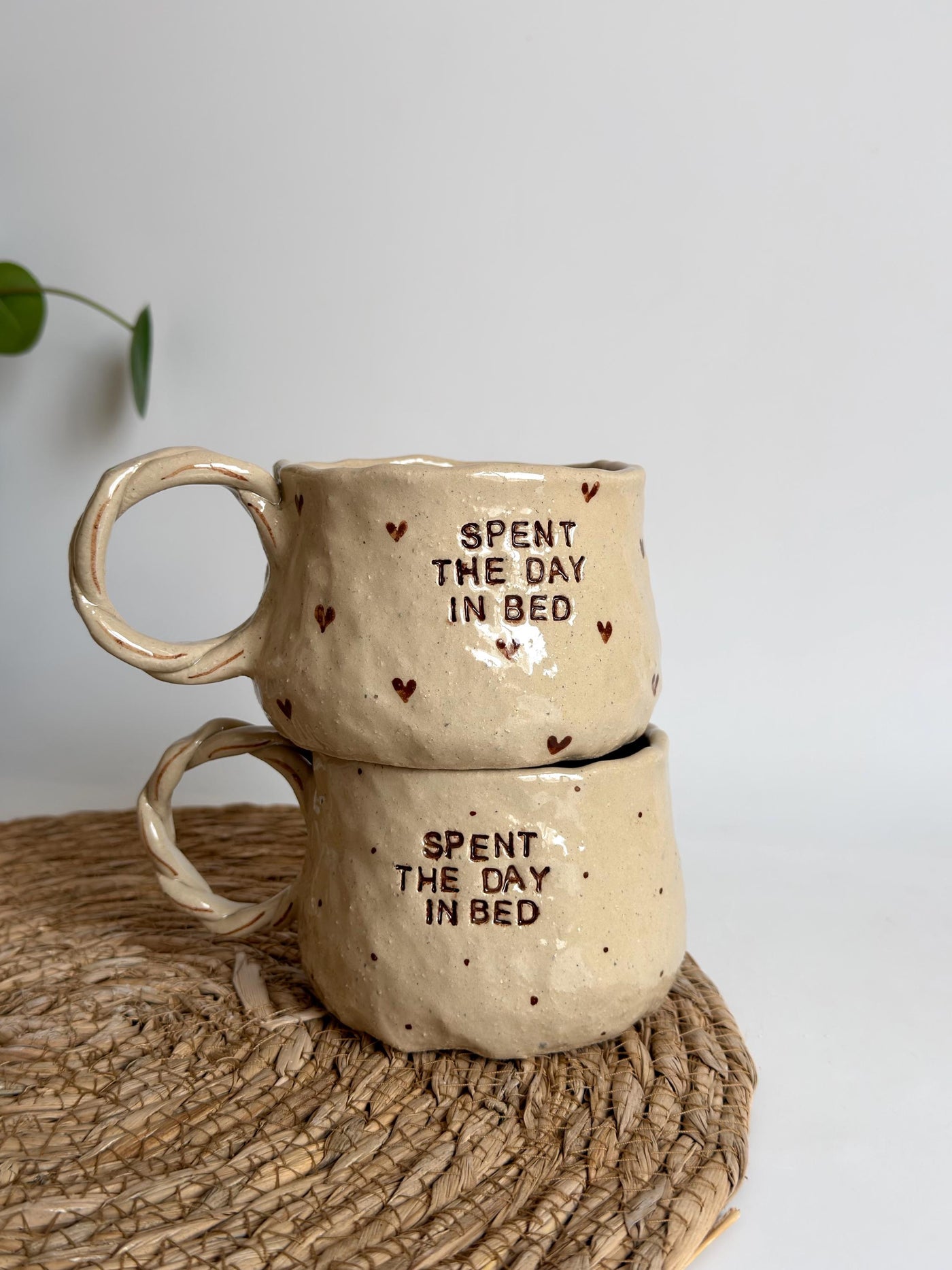 Spent The Day In Bed Mug