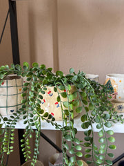 Botanical Poppy Design Utensil Holder