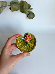 Ring Dish With Lotus