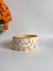 Bowl for Cats
