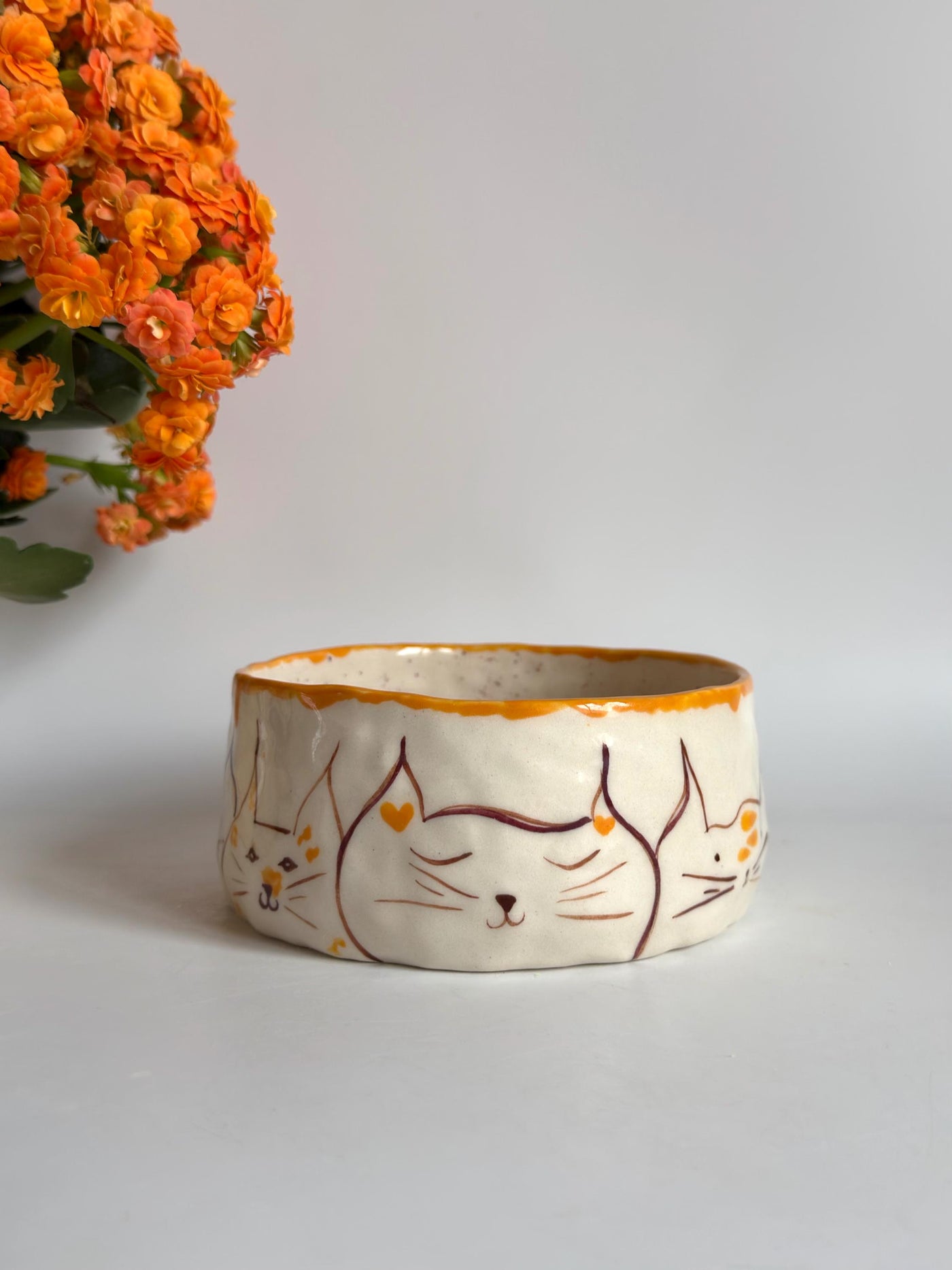 Bowl for Cats