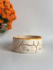 Bowl for Cats