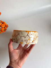 Bowl for Cats