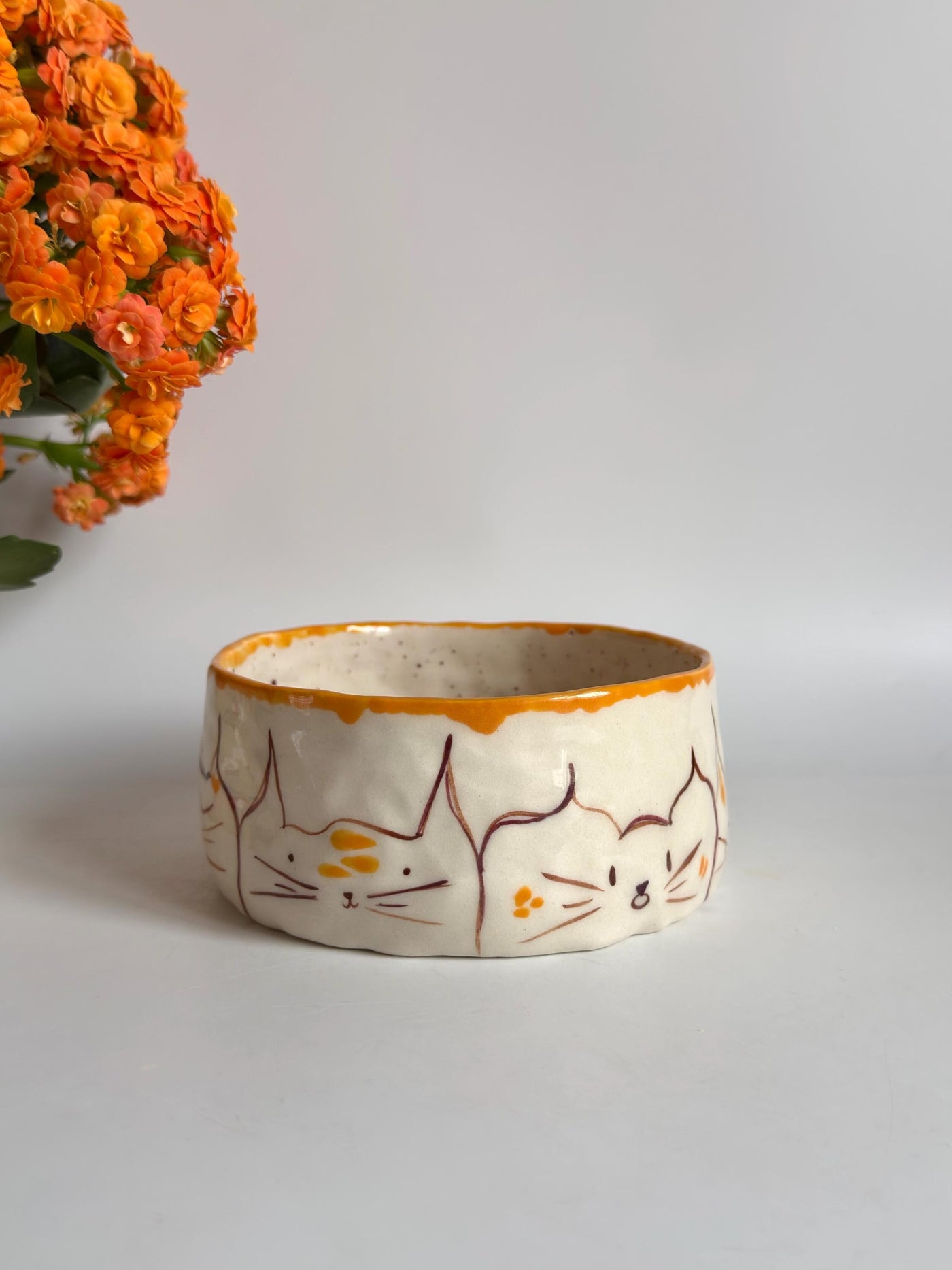 Bowl for Cats