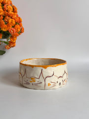 Bowl for Cats