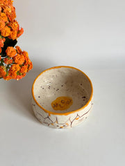 Bowl for Cats