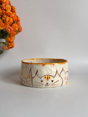 Bowl for Cats