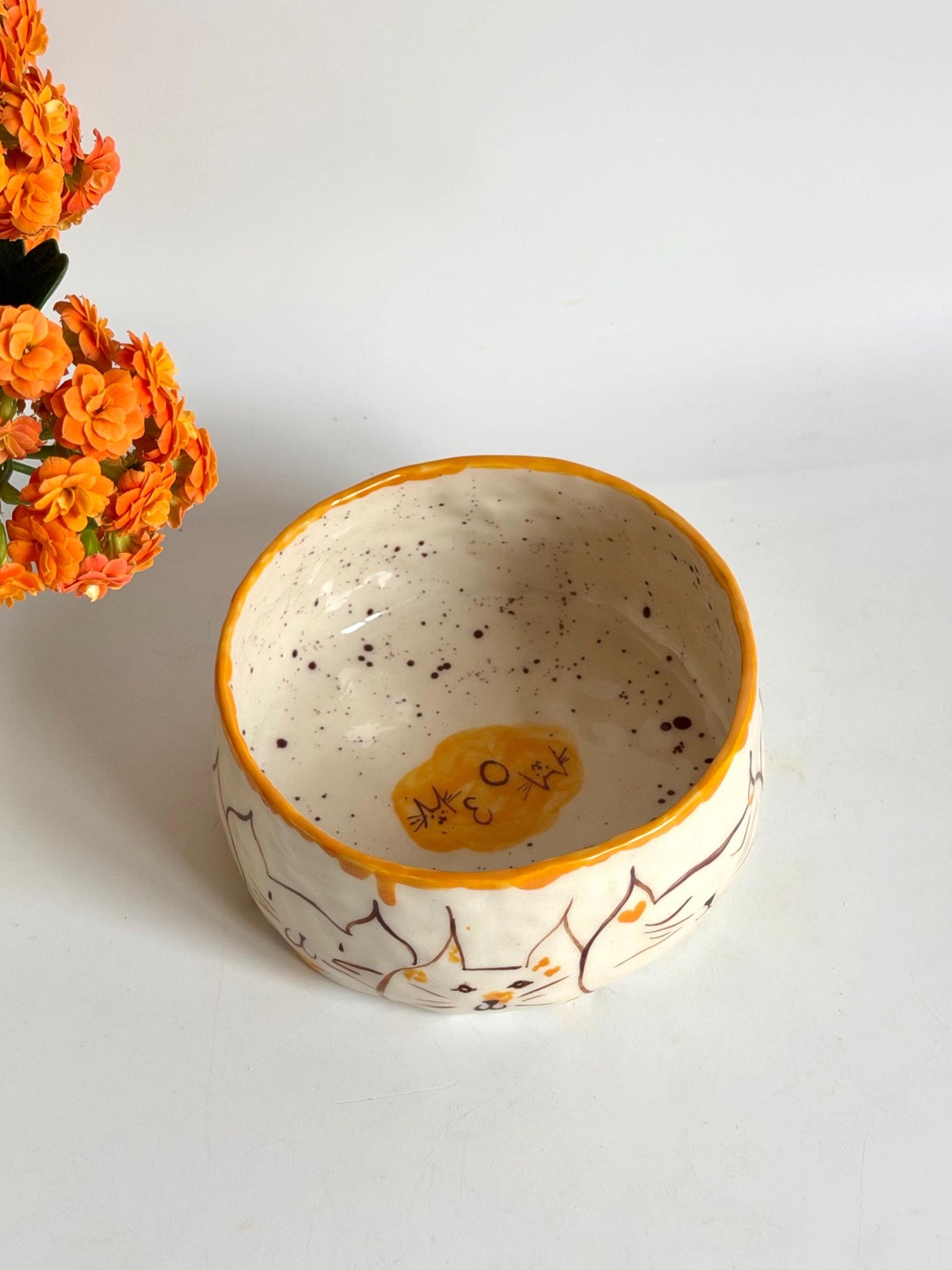 Bowl for Cats