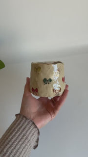Colorful Bows To Go Mug
