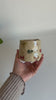 Colorful Bows To Go Mug