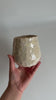Pearl Effect and 24K Gold Basic Mini Vase