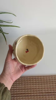 Cute Cherry Bowl
