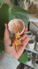 Ginger Cat Ring Dish