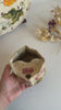 Pink Lotus Flower To Go Mug
