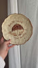 Umbrella Decor Plate