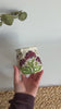 Purple Wildflowers Coffee Cup